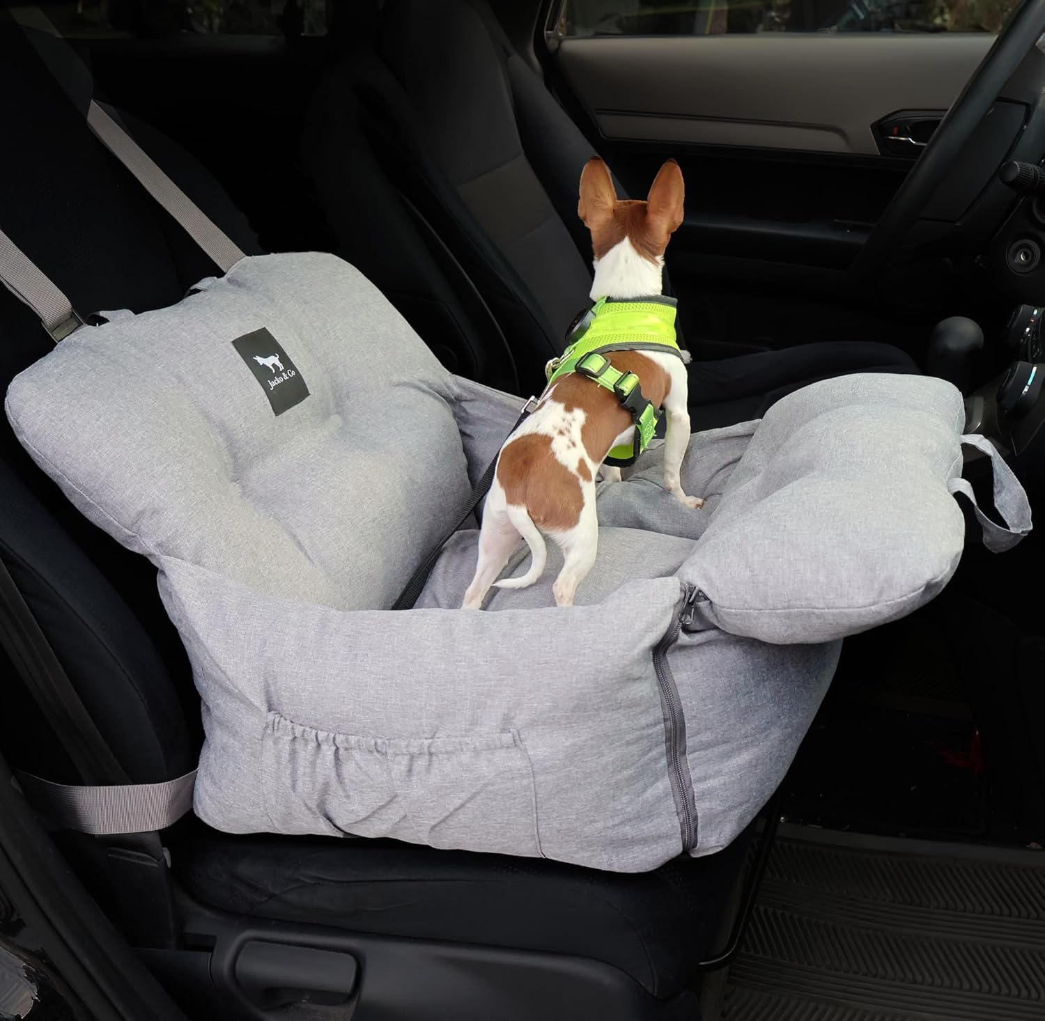 JACKO & CO – Asiento de coche para perros de alta calidad y asiento elevador para mascotas pequeñas y medianas de menos de 30 libras, cachorros,
