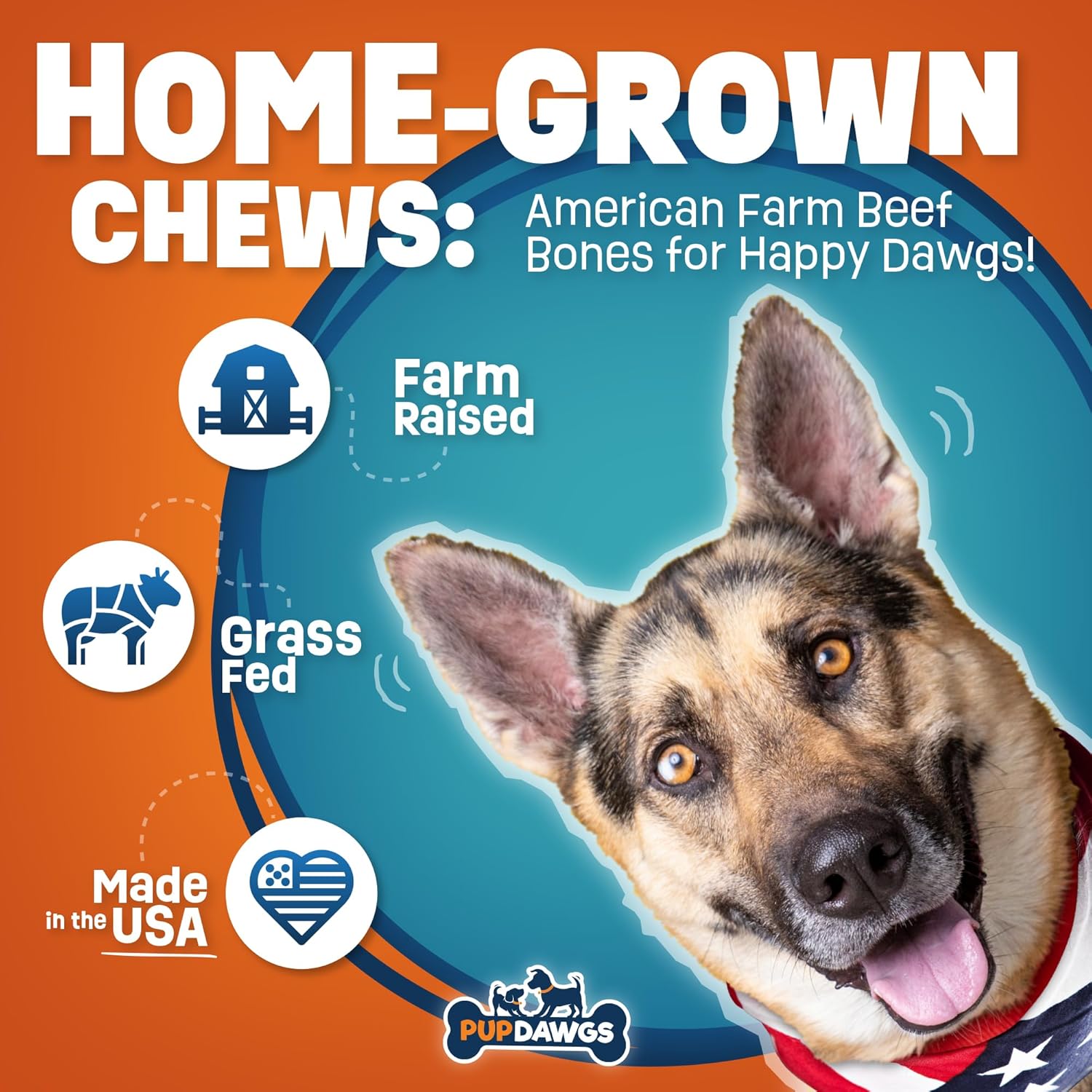 Huesos de perro de un solo ingrediente, fabricados en Estados Unidos, huesos de costilla de carne de res de 8 a 10 pulgadas, huesos naturales para