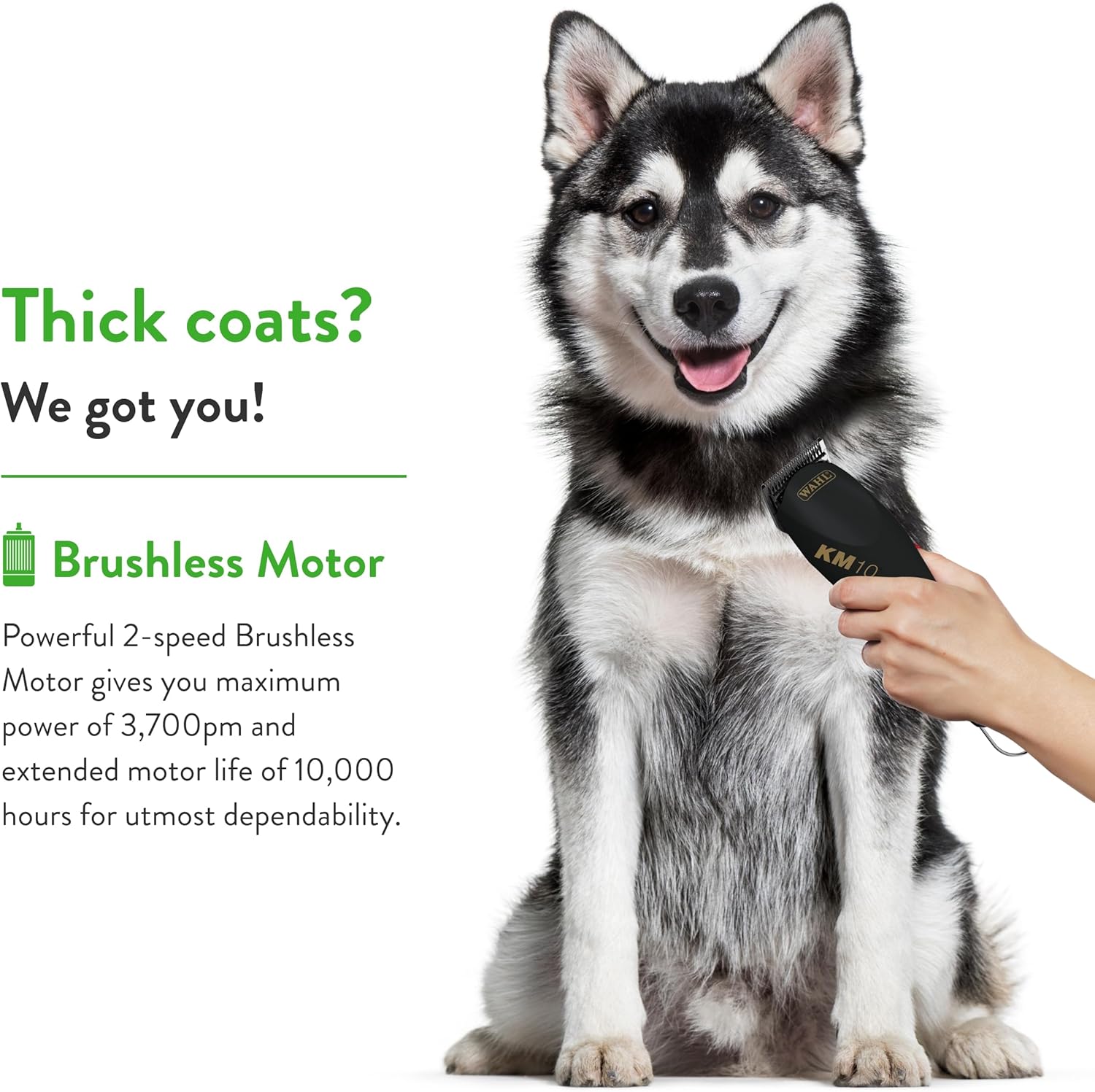 WAHL Professional Animal KM10 – Kit de cortadora de pelo de 2 velocidades sin escobillas para mascotas, perros y caballos, suministros de aseo para