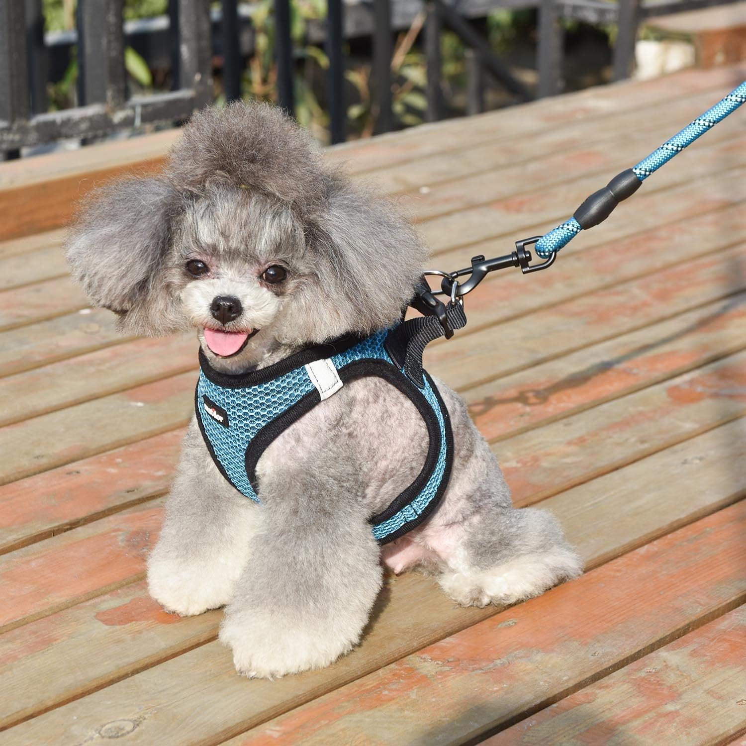Arnés para perro, transpirable, diseño para meter por las patas, para cachorros y perros, o gatos pequeños o medianos, color azul