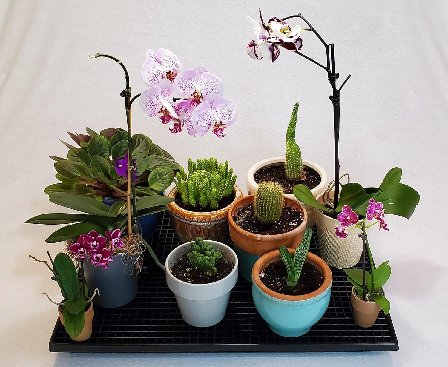 HT-106 – Bandeja de humedad de 26 x 20 x 2.25 pulgadas para orquídeas, violetas africanas, árboles bonsái y otras plantas de interior por Beta Crafts