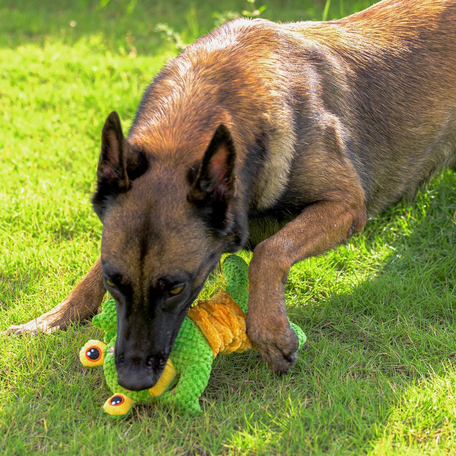 Sedioso Juguete chirriante para perro, juguete duradero para perros de raza grande, juguete interactivo para perros de tira y afloja, juguete de