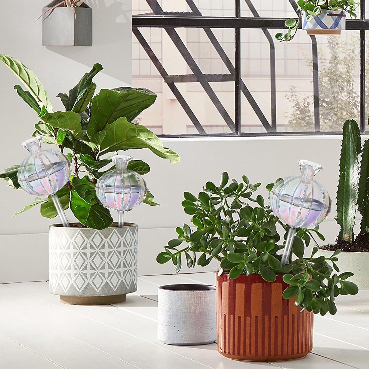 Jitnetiy Bombillas de riego de plantas, globos de riego de plantas, cactus de vidrio, inserto de maceta de riego automático para plantas de interior