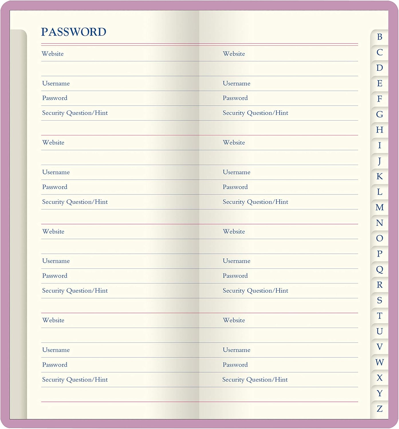 Letts Icon B090131 – Cuaderno de contraseñas de bolsillo, papel crema, 160 páginas, 5.75 x 2.75 x 0.375 pulgadas, rosa