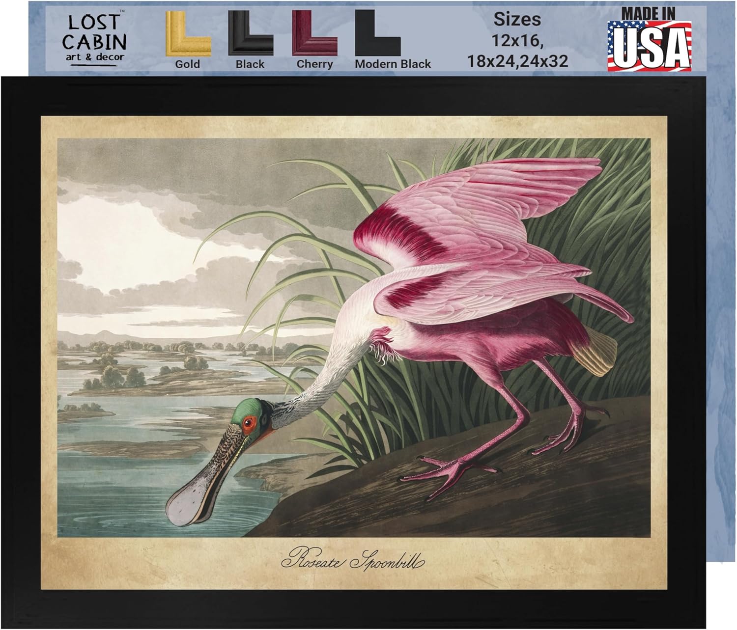 Roseate Spoonbill de James Audubon – Impresión sin marco de 12 x 16 pulgadas  Decoración artística enmarcada  Reproducción de pintura de arte fino