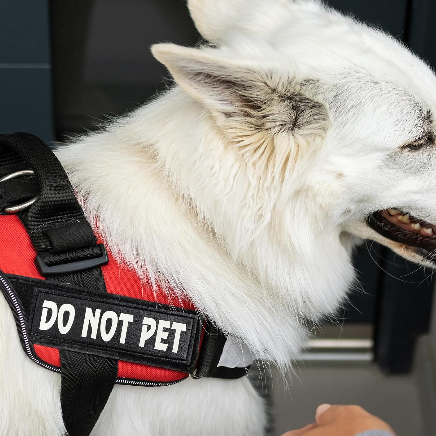 Paquete de 4 parches reflectantes para perros de servicio con gancho trasero, arnés táctico para perros en entrenamiento reflectantes y etiquetas