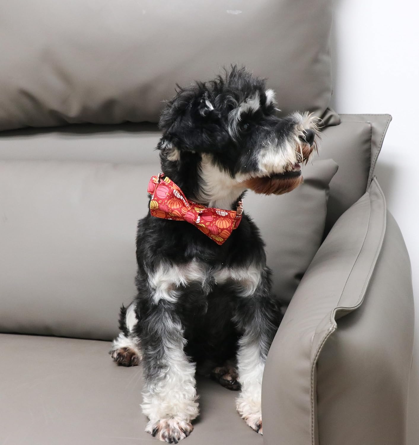 Unique Style Paws Collar de perro de Halloween con lazo de algodón lindo collar de perro con lazo para perros pequeños, medianos y grandes, collar