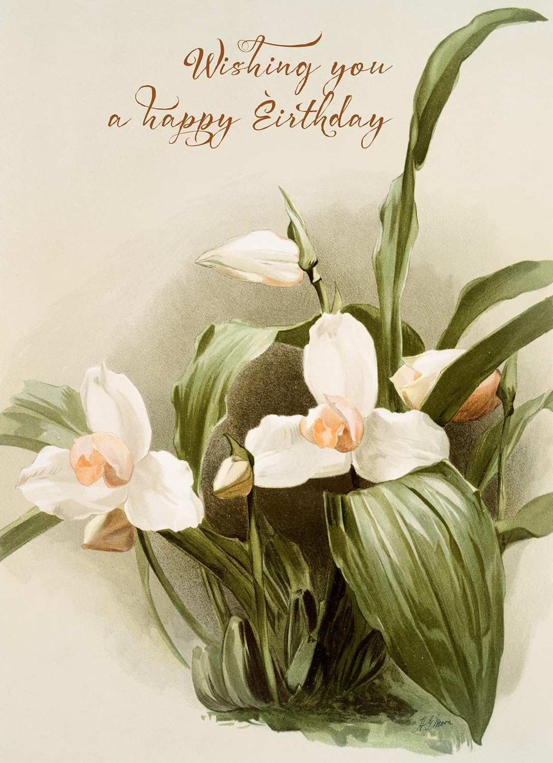 PIXILUV Tarjeta de felicitación de feliz cumpleaños  Elegante orquídea blanca flores Vintage ilustración  Deseos de cumpleaños Vintage Tarjeta de