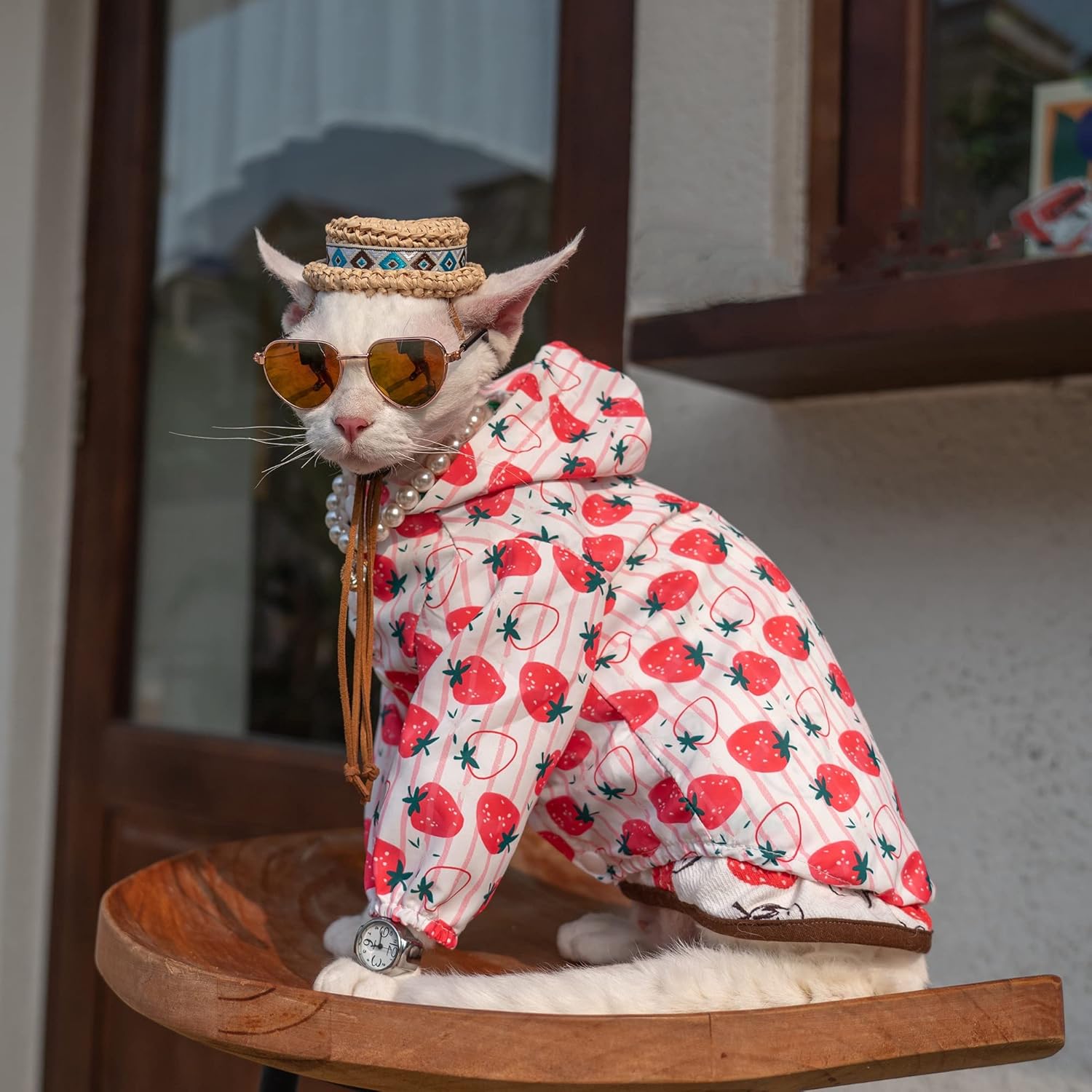 Ropa de verano para gatos sin pelo, ropa de protección solar anti-ultravioleta, chaqueta delgada de manga larga con capucha para Sphynx, Cornish