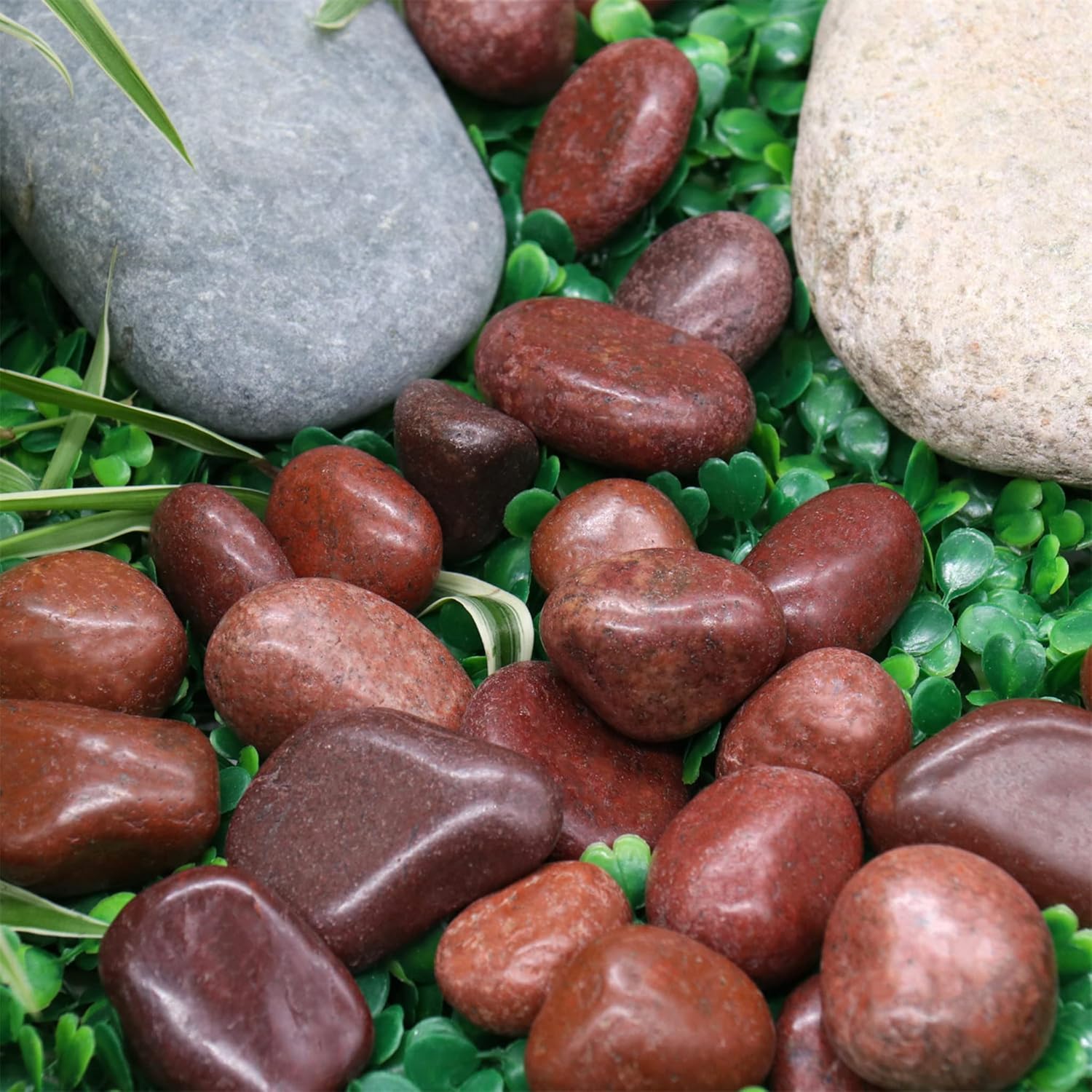 Koltose by Mash Piedras rojas pulidas de 10 libras. Rocas de  a 1 pulgada para plantas, jardín, paisajismo, suculentas, pecera, grava, terrario,