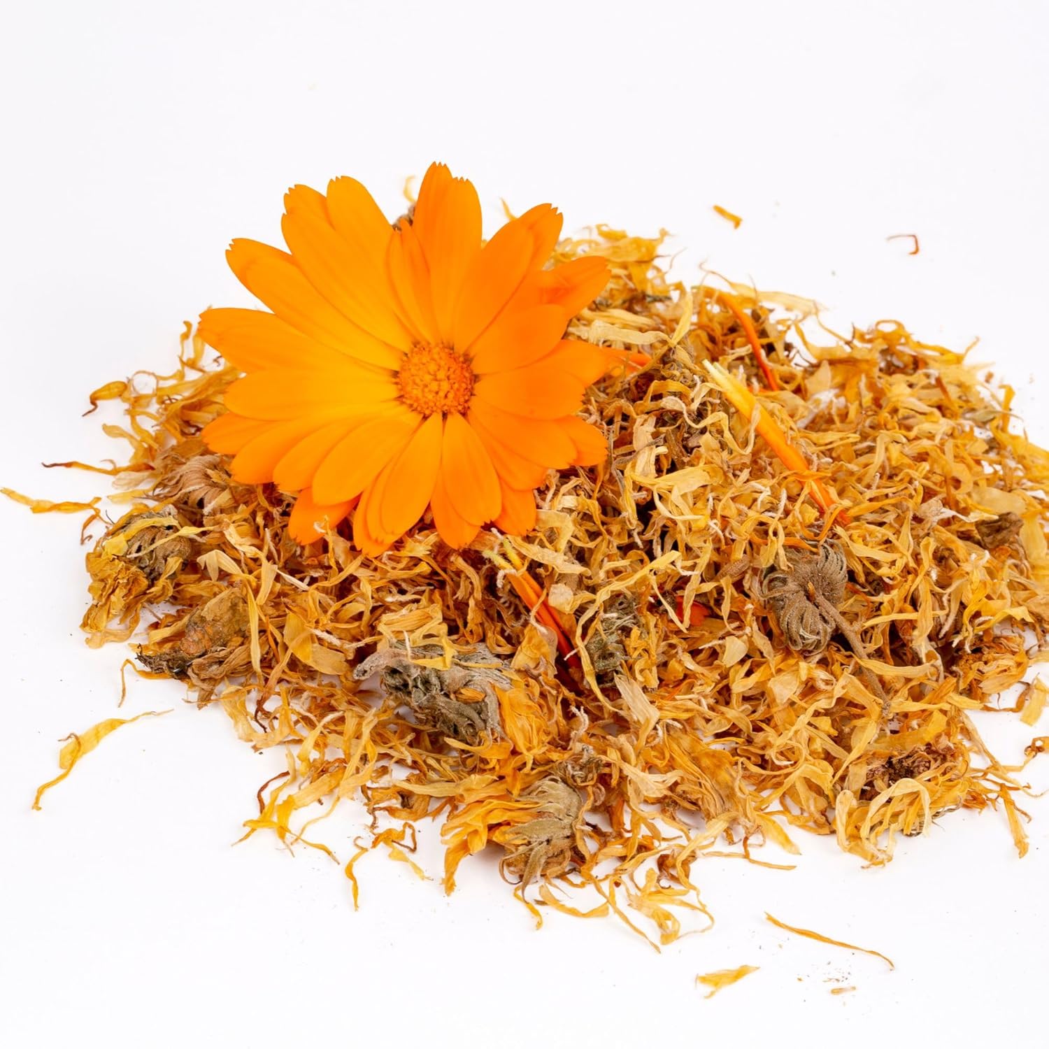 Calendula Salve Herbal Balm Skin Body Care Ointment 2 oz