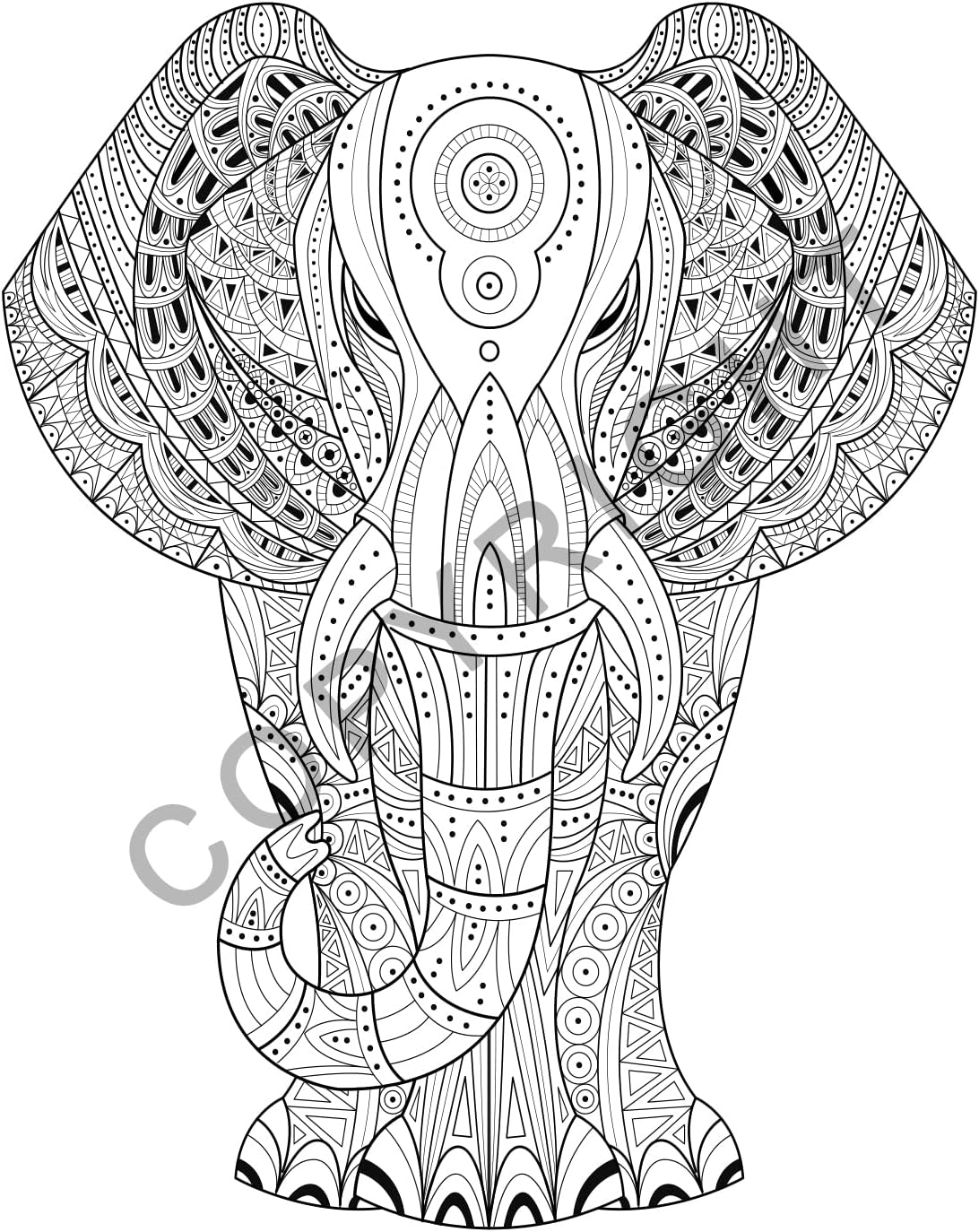 ZOCO Libros para colorear para adultos (paquete de 10)  Animales  Libros para colorear relajantes para adultos, adolescentes y mujeres  Diseños