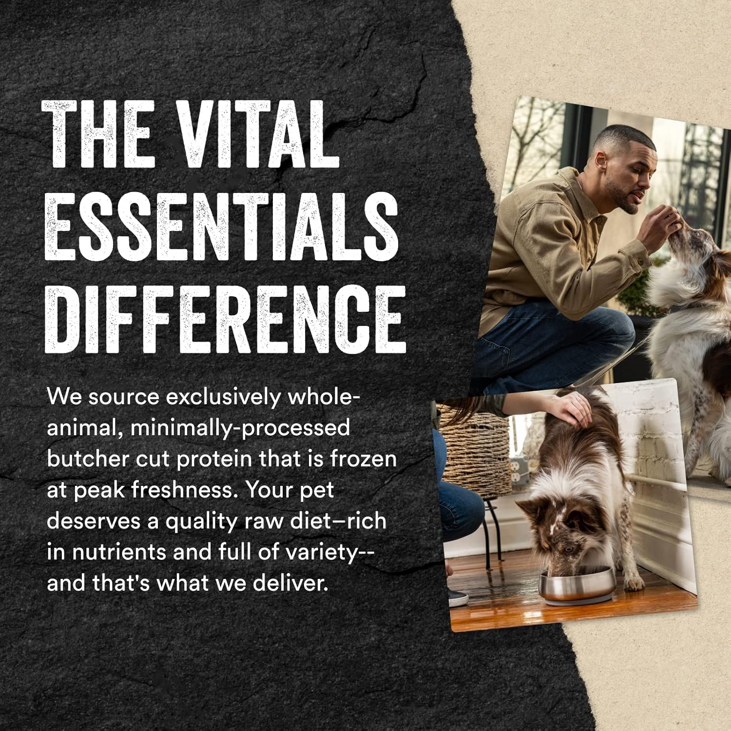 Vital Essentials Mezcla de proteínas crudas liofilizadas para perros, mini puntas de salmón para perros, 18 onzas