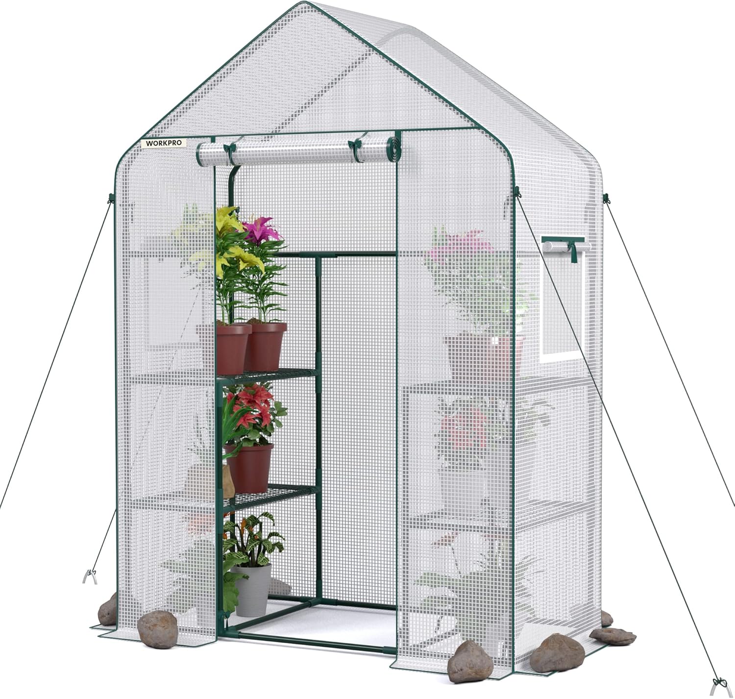 WORKPRO Invernadero, invernadero pequeño portátil de 56 x 28 x 77 pulgadas para exteriores e interiores, kit de casa verde resistente con cubierta