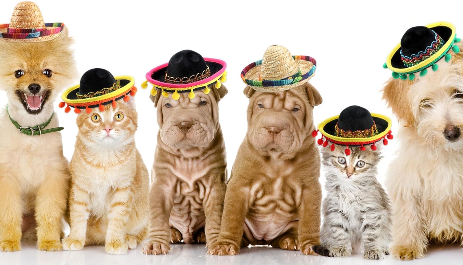 Cagemoga 12 diademas mexicanas para niños, adultos, perros, mascotas