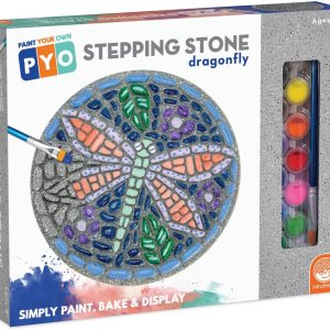 MindWare Pinta tu propia piedra escalonada libélula – Pinta tus propias piedras de paso para niños. El kit de manualidades incluye pintura, pinceles MindWare Pinta tu propia piedra escalonada libélula – Pinta tus propias piedras de paso para niños. El kit de manualidades incluye pintura, pinceles