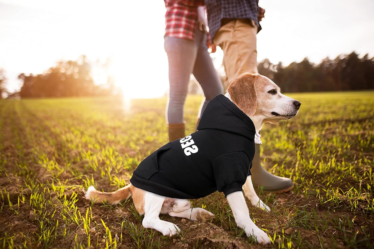 Uteuvili – Sudadera de seguridad con capucha para perros – Suave ropa de vellón cepillado para perros – Sudadera con capucha y bolsillo para perros