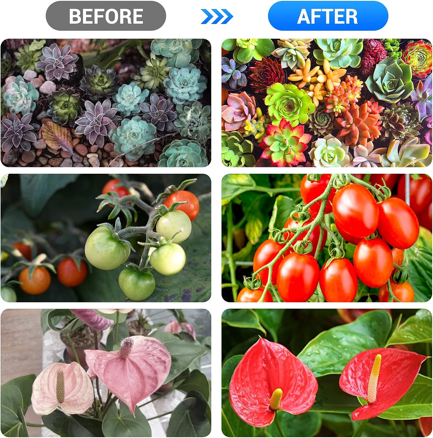 Tiras de luces LED de cultivo para plantas de interior, 3 modos de trabajo y 10 niveles regulables, luces de plantas con temporizador de ciclo