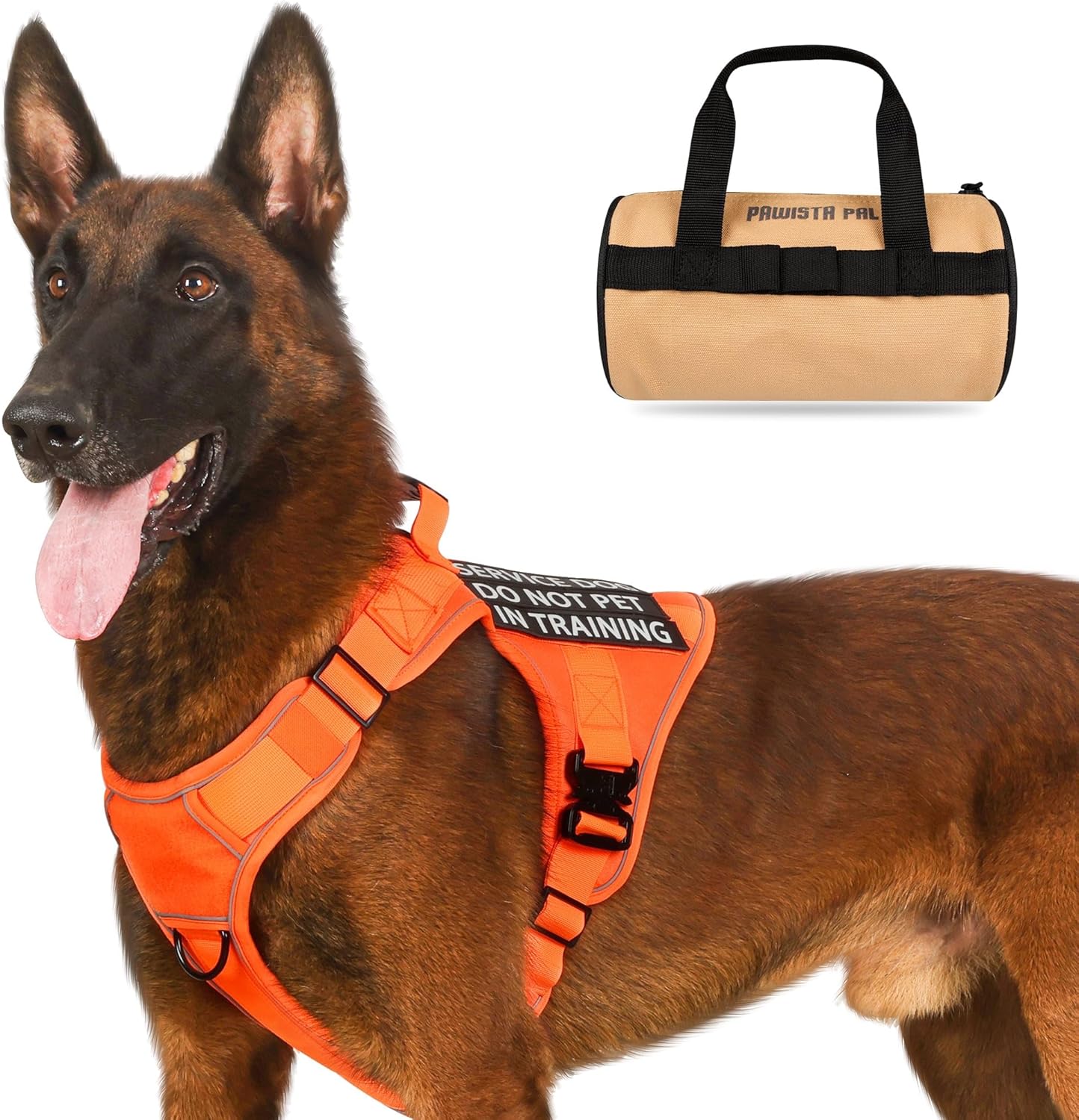 Arnés táctico para perro, 2 correas ligeras con hebilla de metal resistente para perros medianos y extragrandes con 6 parches para perros, arnés
