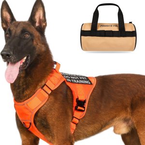 Arnés táctico para perro, 2 correas ligeras con hebilla de metal resistente para perros medianos y extragrandes con 6 parches para perros, arnés Arnés táctico para perro, 2 correas ligeras con hebilla de metal resistente para perros medianos y extragrandes con 6 parches para perros, arnés