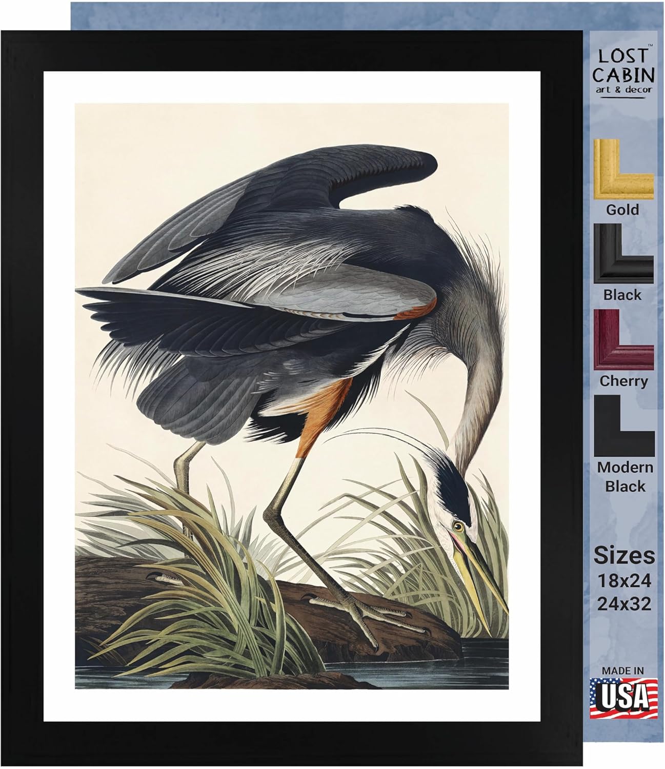 Lost Cabin Great Blue Heron de James Audubon  Impresión enmarañada en marco plano negro  Reproducción de pinturas de obras de arte finas  Póster