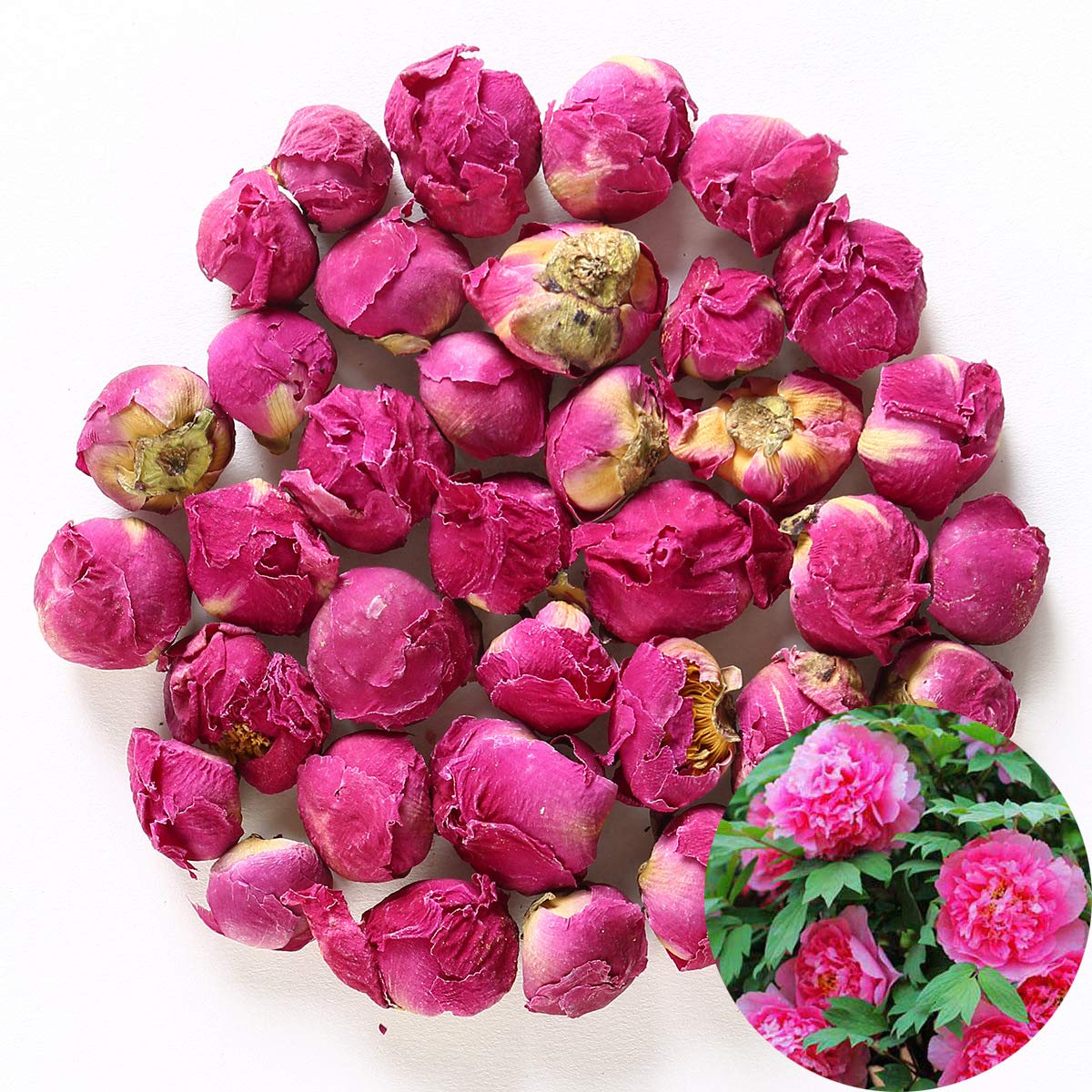 TooGet Bola de peonía fragante Paeonia lactiflora flores secas naturales de peonía al por mayor, grado superior – 4 onzas