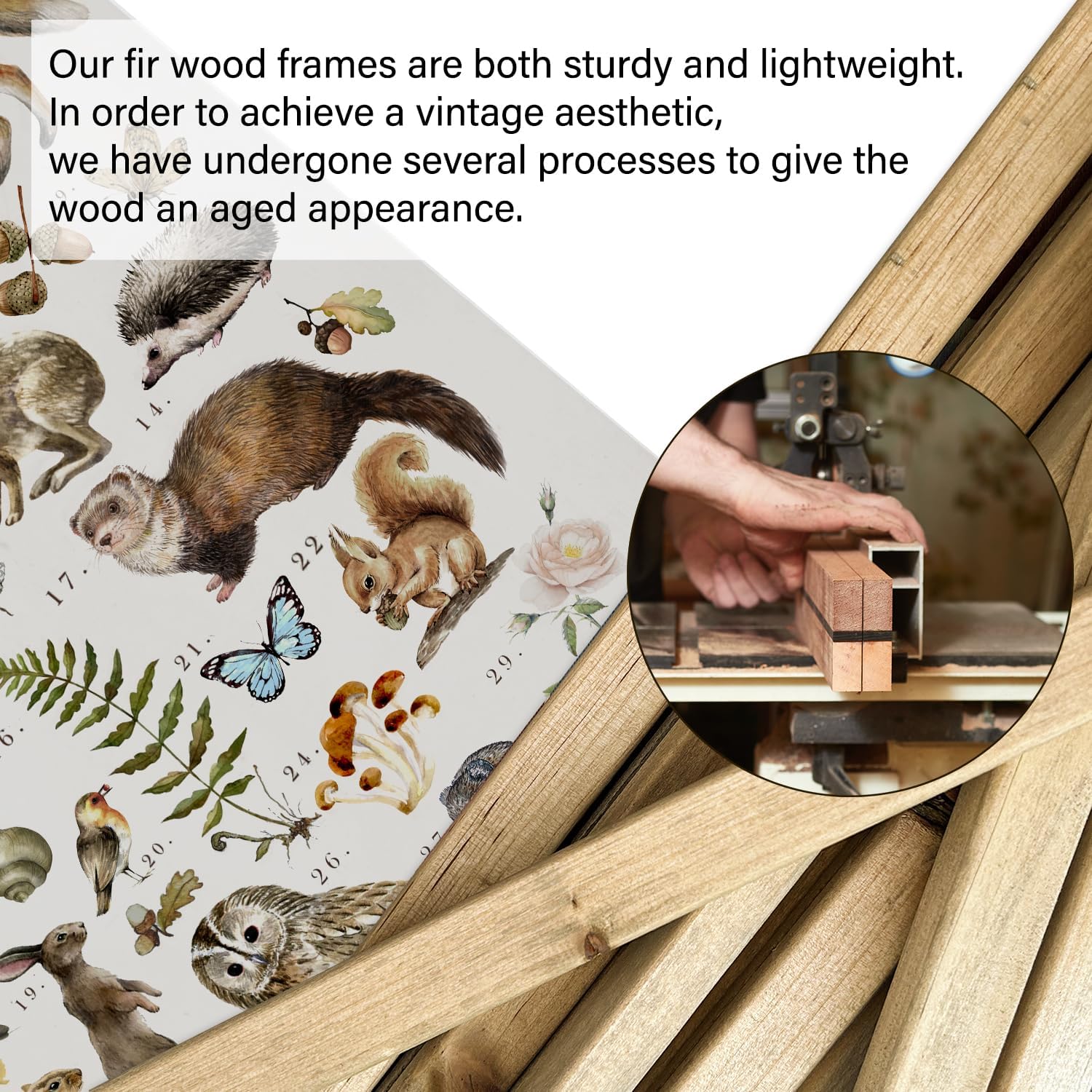 XIAOAIKA British Hedgerow – Póster educativo de vida silvestre, cuadro ilustrado de naturaleza con marco de madera, arte de pared de animales y