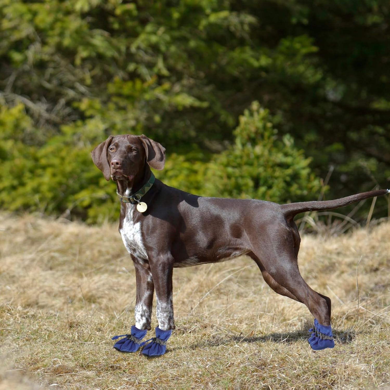 UKCOCO Zapatos de perro para perros pequeños a medianos, botines de perro, protector de patas para pavimento caliente, botas de senderismo de nieve