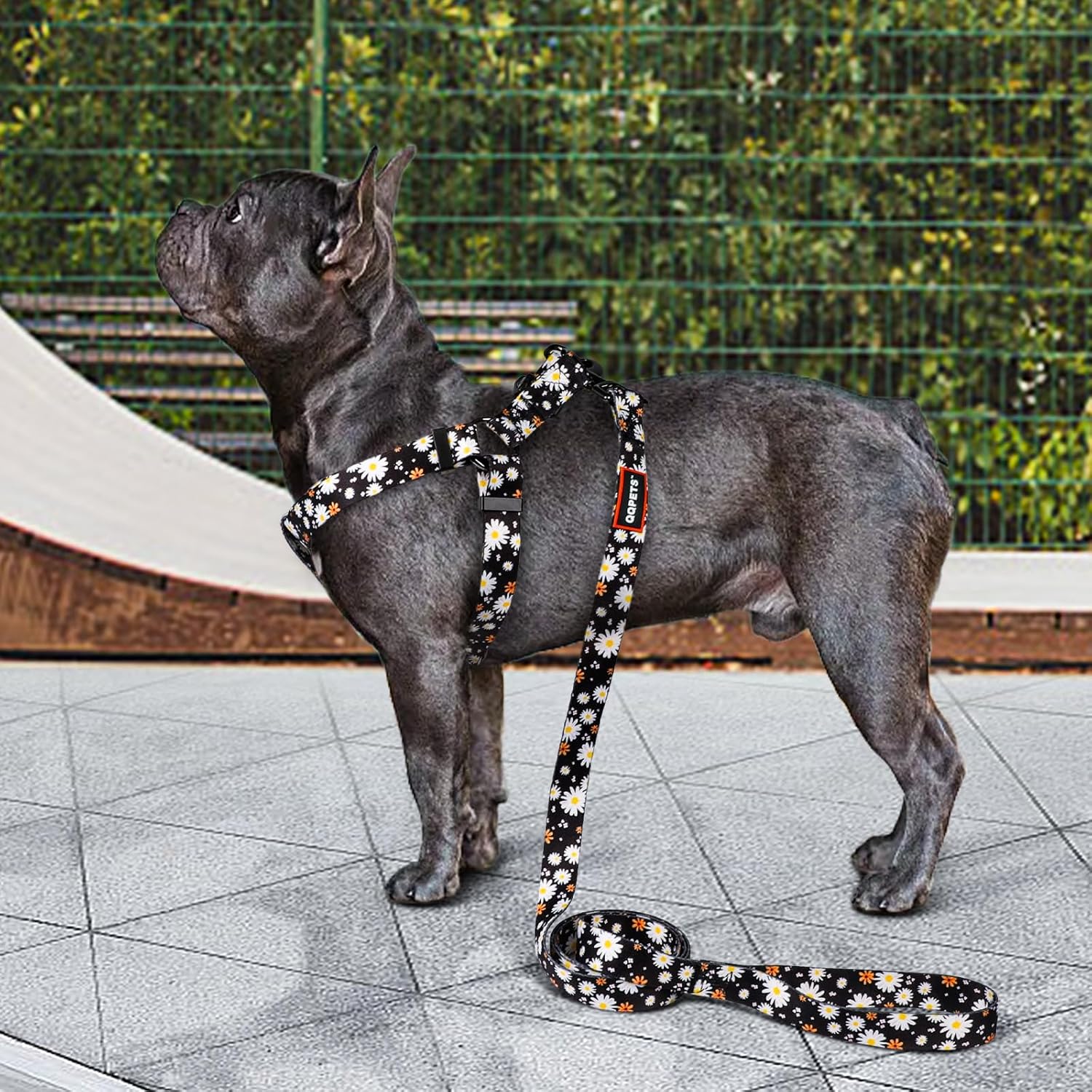 QQPETS Juego de correa de arnés para perro, ajustable, resistente, sin tirones, para perros de razas pequeñas, medianas y grandes, clip de espalda