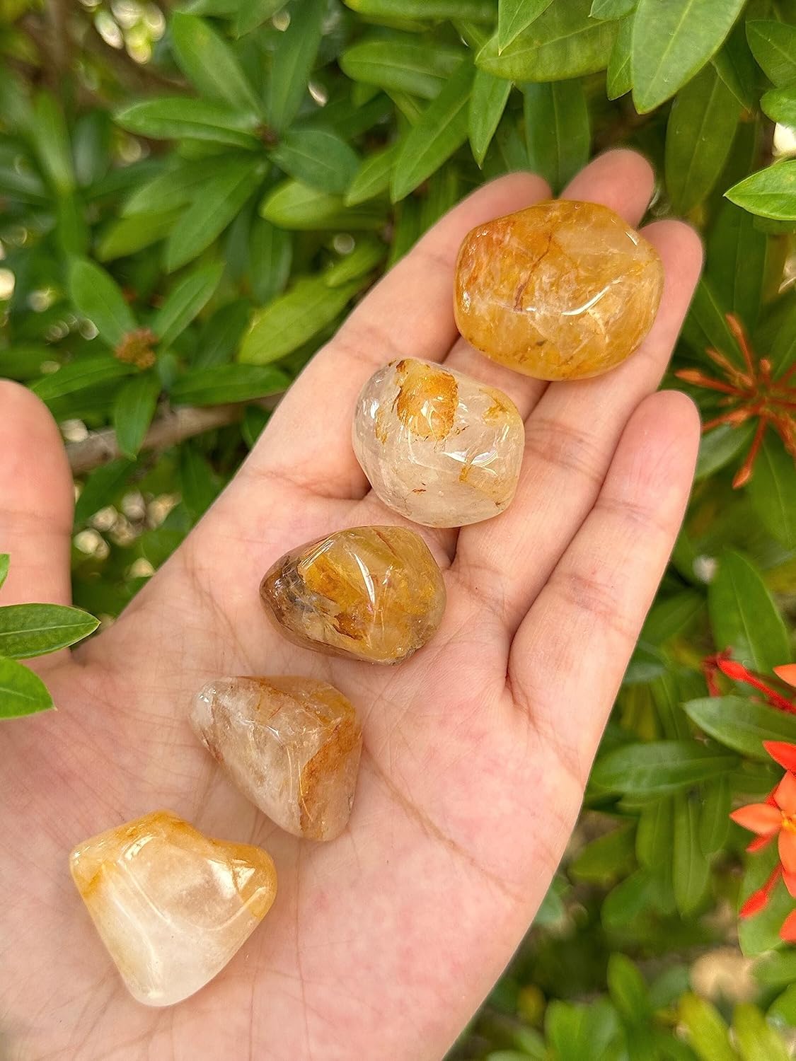 GAF TREASURES Piedras pulidas de cuarzo curandero dorado de 12 libra, piedra preciosa de cuarzo curandero dorado natural pulida, cristales curativos