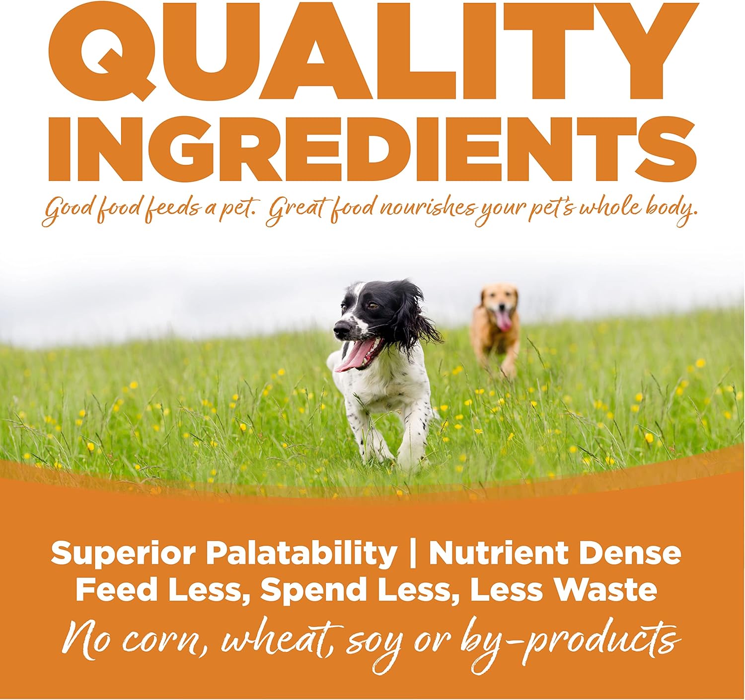 NutriSource Alimento para perros adultos, hecho con cordero y arroz, con granos saludables, 15 libras, comida seca para perros
