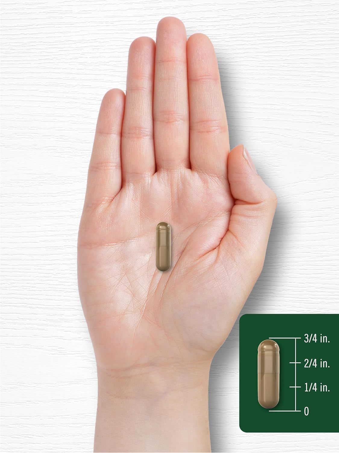 Carlyle Uva Ursi Cápsulas  1440 mg  150 unidades  Extracto de hoja de hierbas  Sin OMG  Suplemento sin gluten