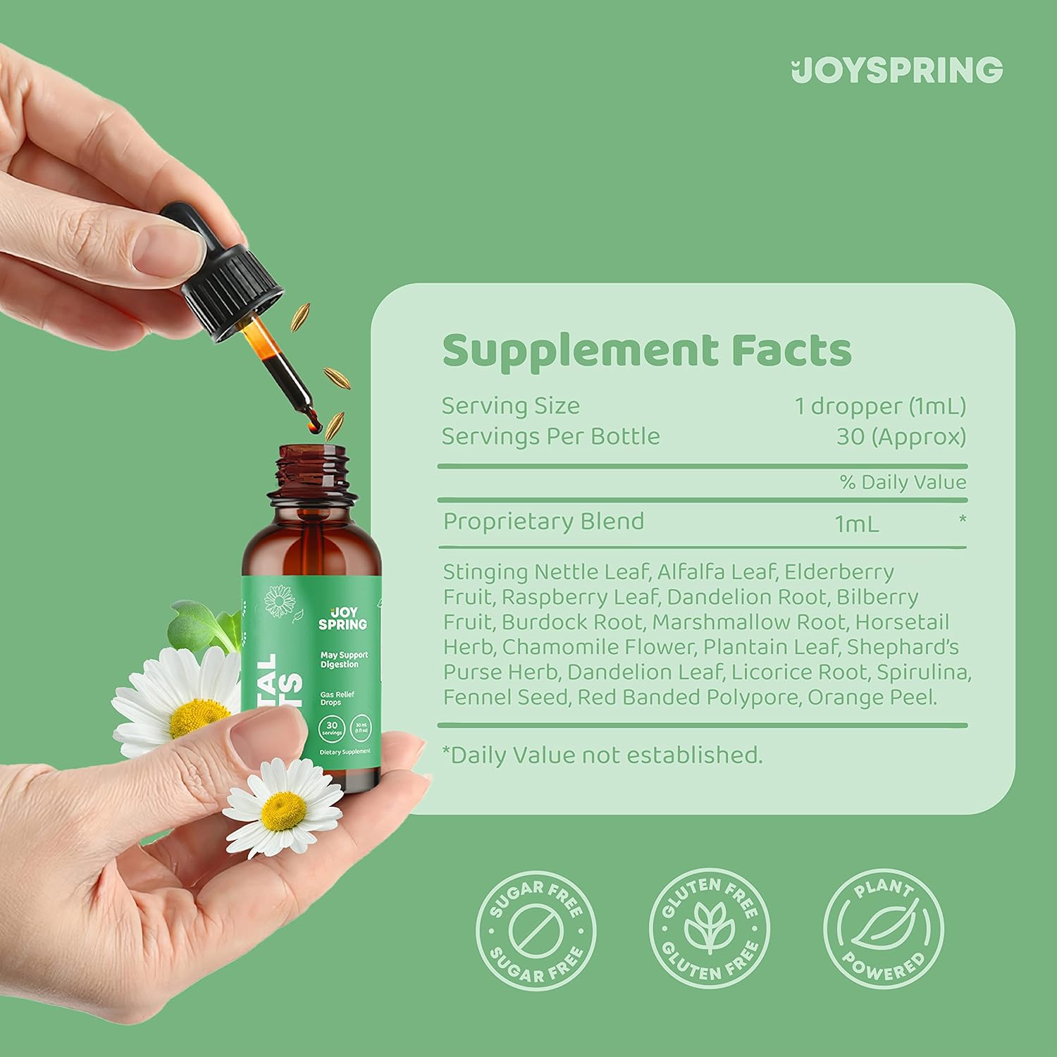 JoySpring Gotas naturales de saúco para niños para ayudar a la función inmunológica y multivitamínico diario con raíz de bardana y baya de saúco
