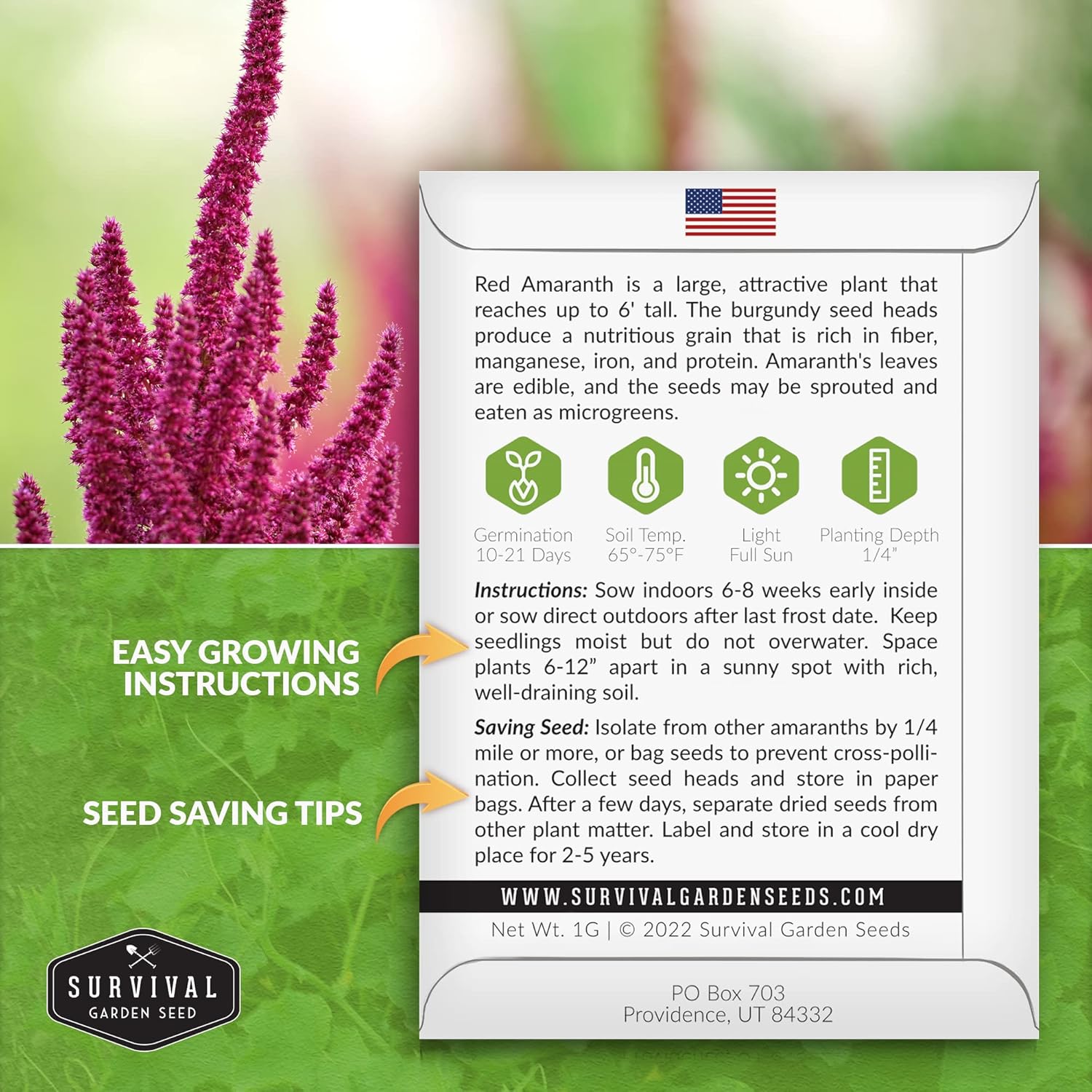 Survival Garden Seeds – Semilla de amaranto rojo para plantar – 3 paquetes con instrucciones para plantar y cultivar plantas gigantes de grano