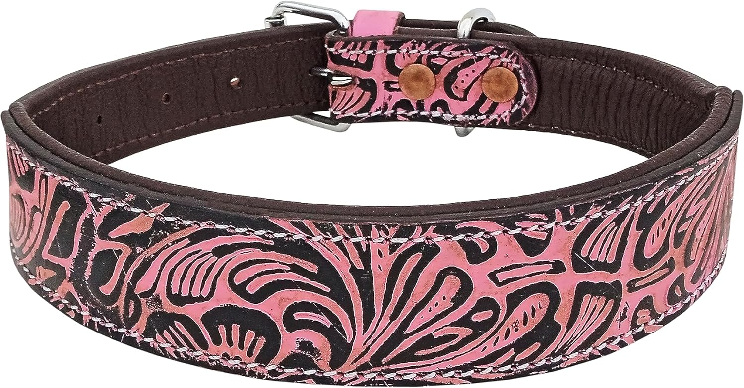Affilare Collar de perro de cuero estilo occidental resistente acolchado para cachorros y perros grandes 10AB134-XS