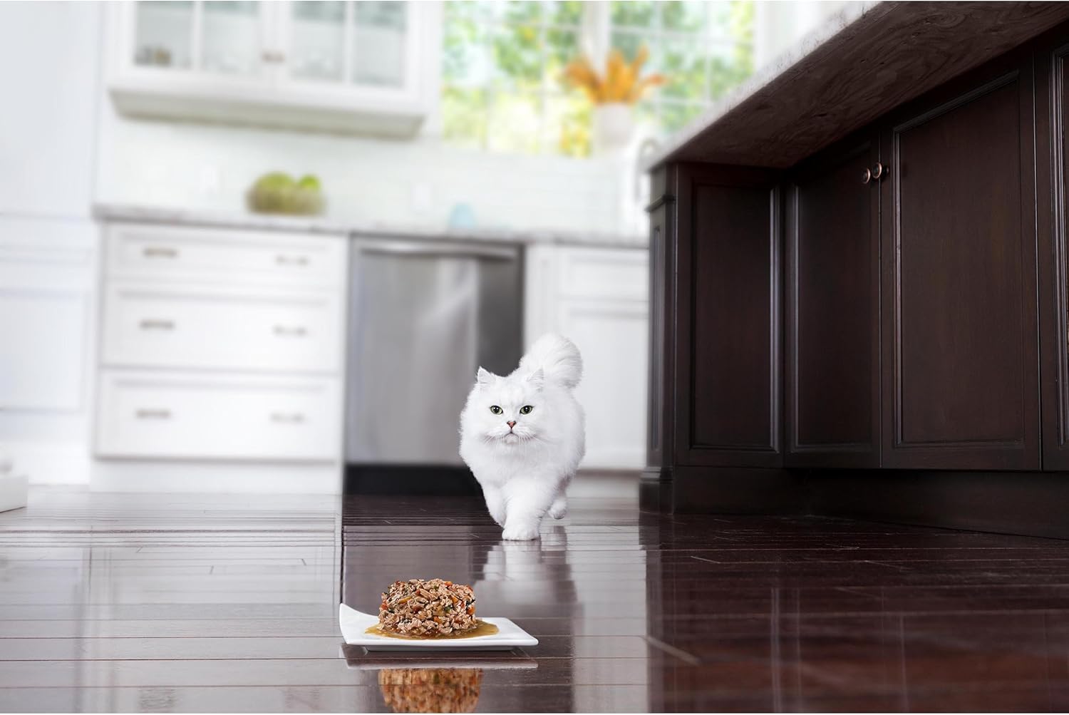 Purina Fancy Feast Medleys – Paquete de alimentos húmedos para gatos, paquete de variedad
