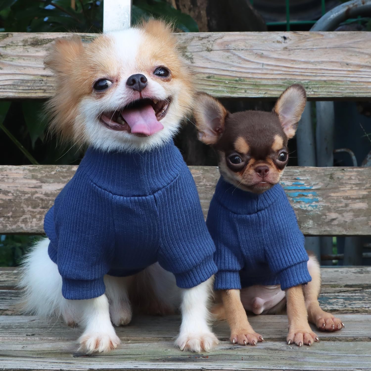 LOPHIPETS Suéteres de cuello alto para perros pequeños para taza de té, chihuahua, yorkie, cachorro, gato, ropa, azulXS