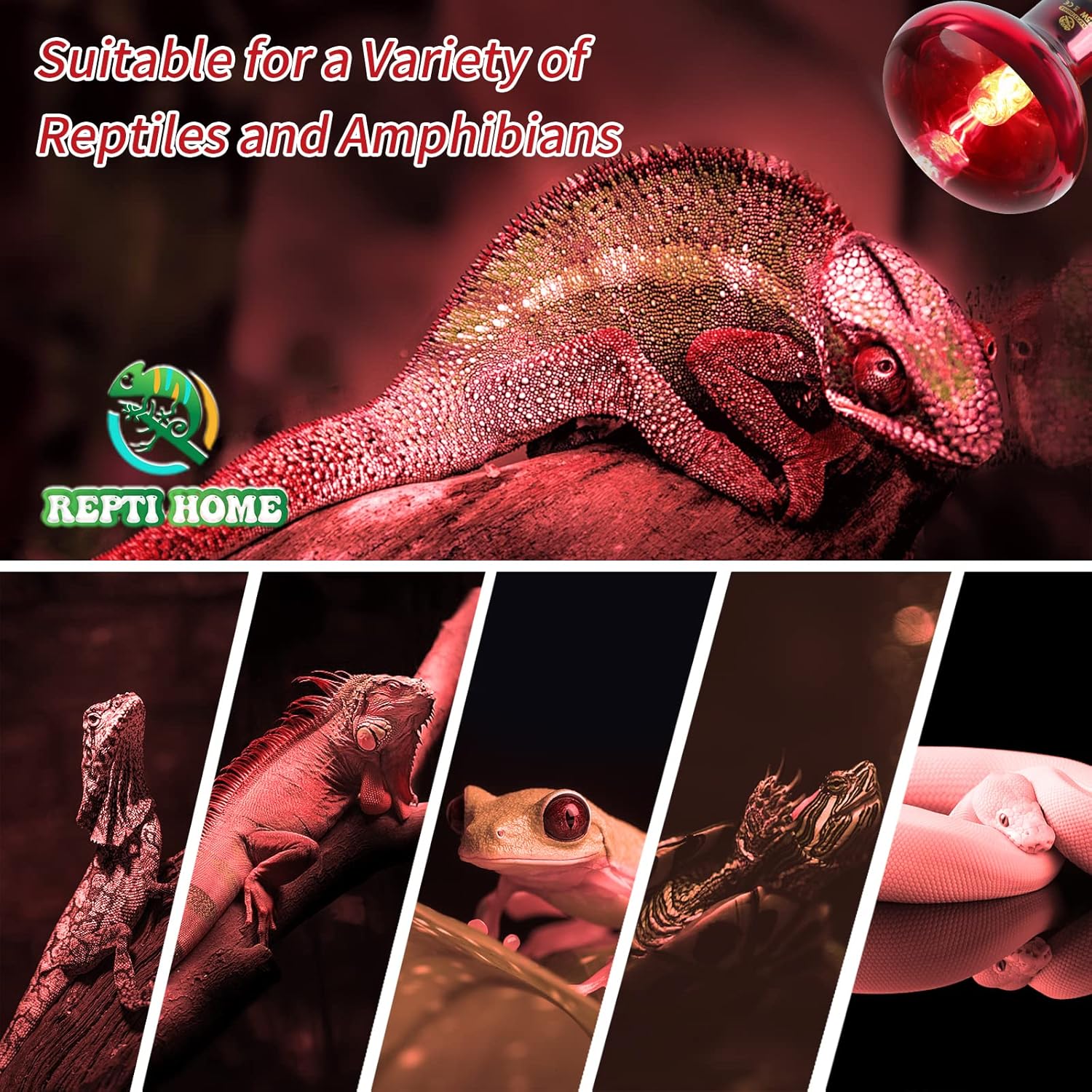 REPTI HOME Paquete de 3 bombillas infrarrojas de calor para reptiles, 75 W, para reptiles y anfibios, bombilla infrarroja emisora de calor para