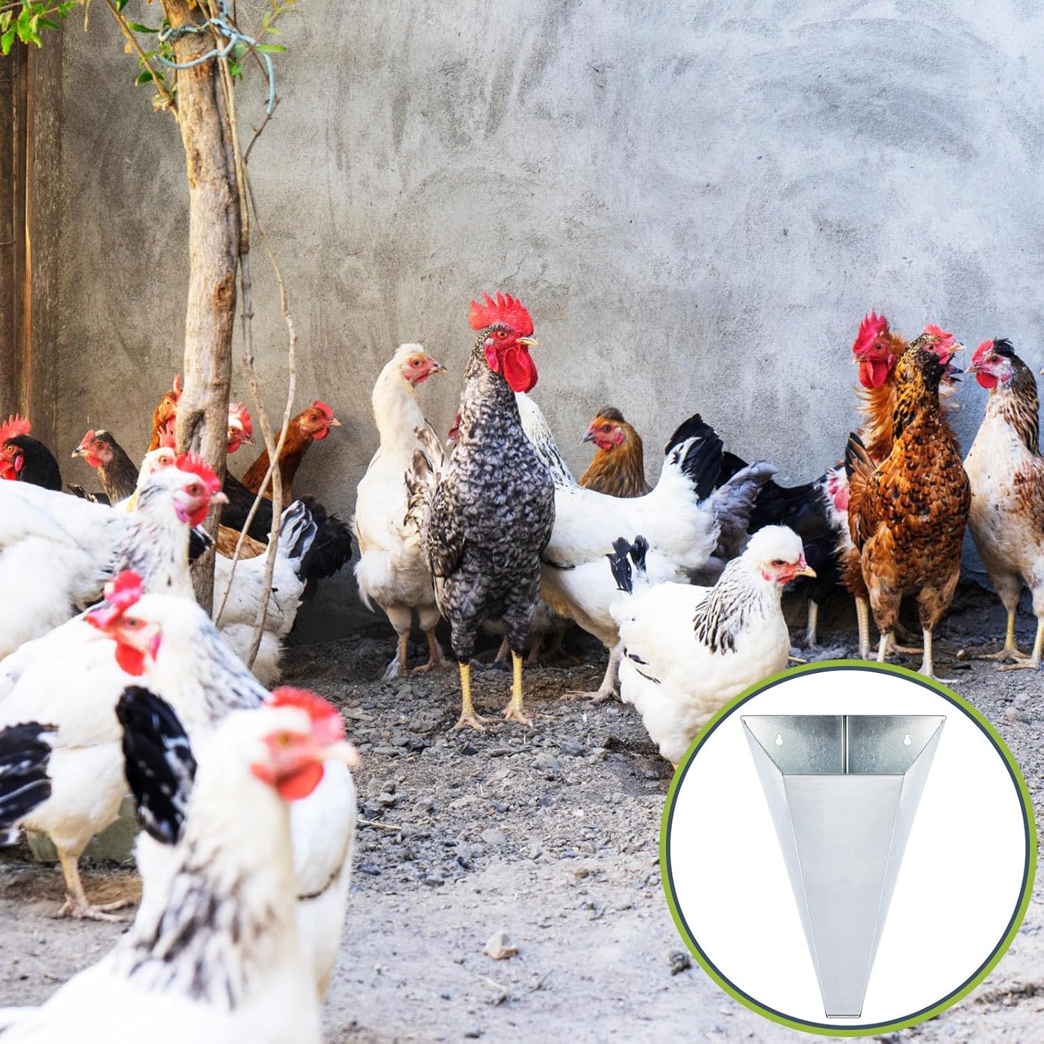 4 unidades de conos de retención de aves de corral de acero galvanizado mediano, cono de embudo de parte trasera plana, cono de pollo para matar