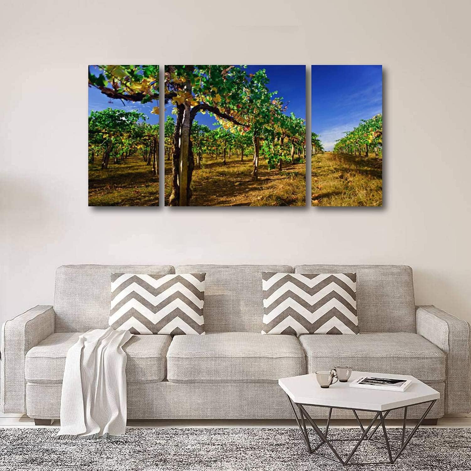 BDMPIZLNSF Lienzo de 3 paneles para pared, diseño de belleza, viñedos, colores otoñales, producción de cosecha, vino Chianti, impresión enmarcada