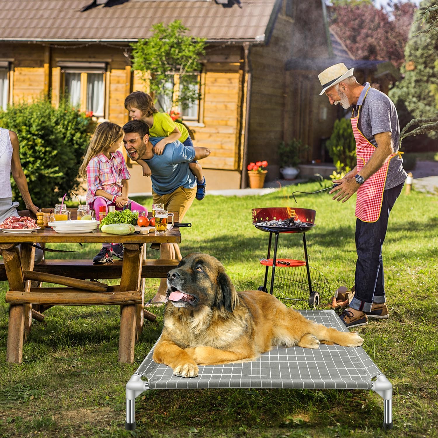 Cama elevada para perros, cuna para mascotas, camas para perros grandes  Cama elevada desmontable para gatos y perros grandes