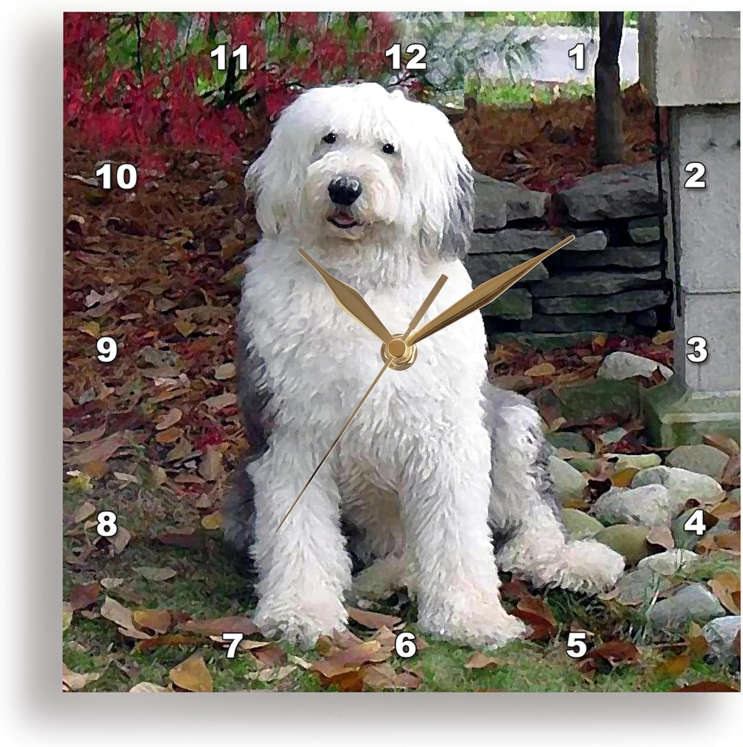 3dRose LLC Old English Sheepdog – Reloj de pared, 10 x 10 pulgadas