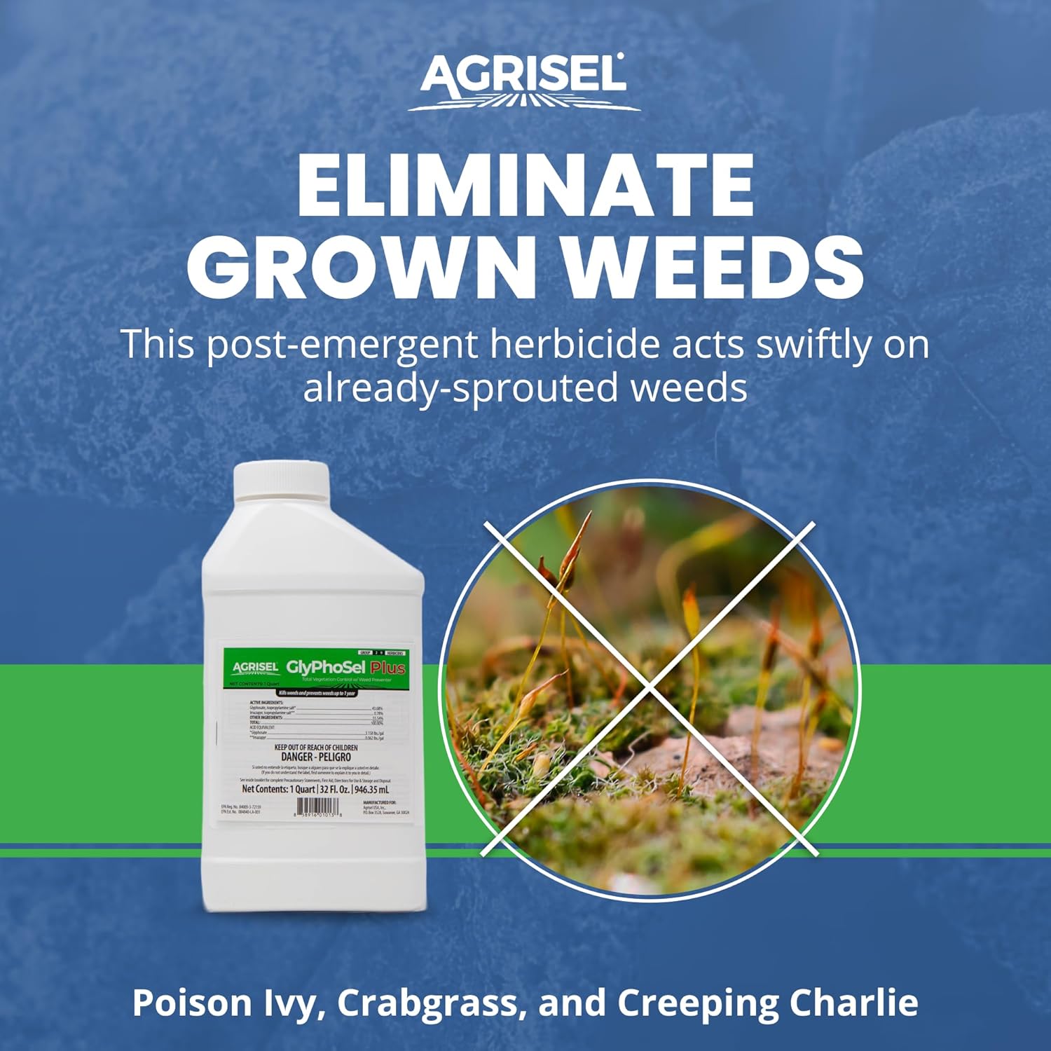 Agrisel GlyPhoSel Plus herbicida post-emergente, acción de larga duración, elimina las malas hierbas duras de la hoja a la raíz, para áreas no