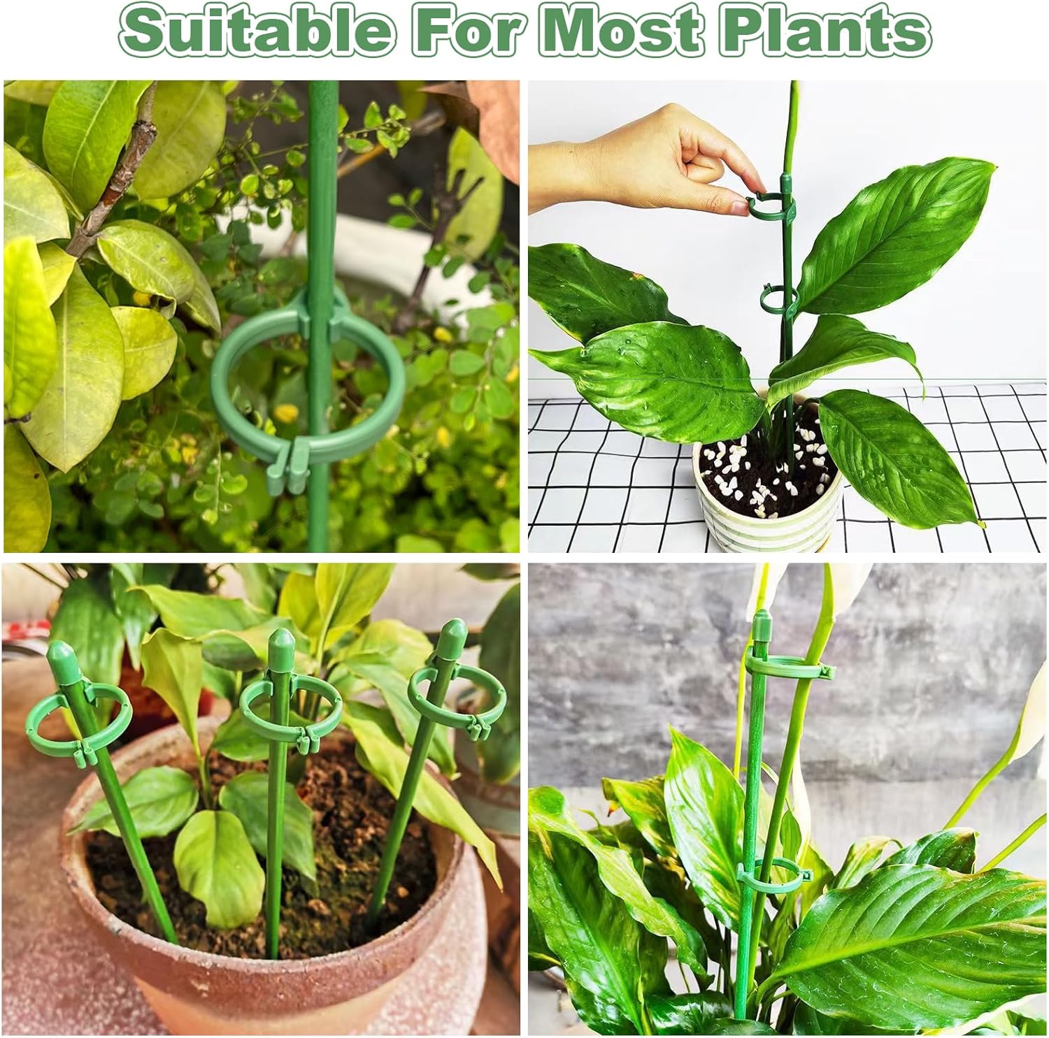 100 estacas de 15.7 pulgadas para plantas de fibra de vidrio verde ajustable para jardín con 100 anillos de hebilla para plantas de interior y