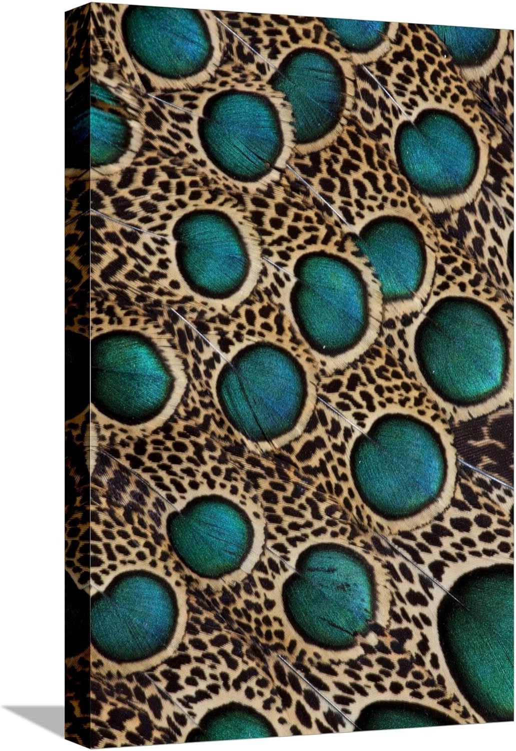 Darrell Gulin – Lienzo decorativo para pared, diseño de plumas de pavo real malayo con círculos azules, 12 x 18 pulgadas