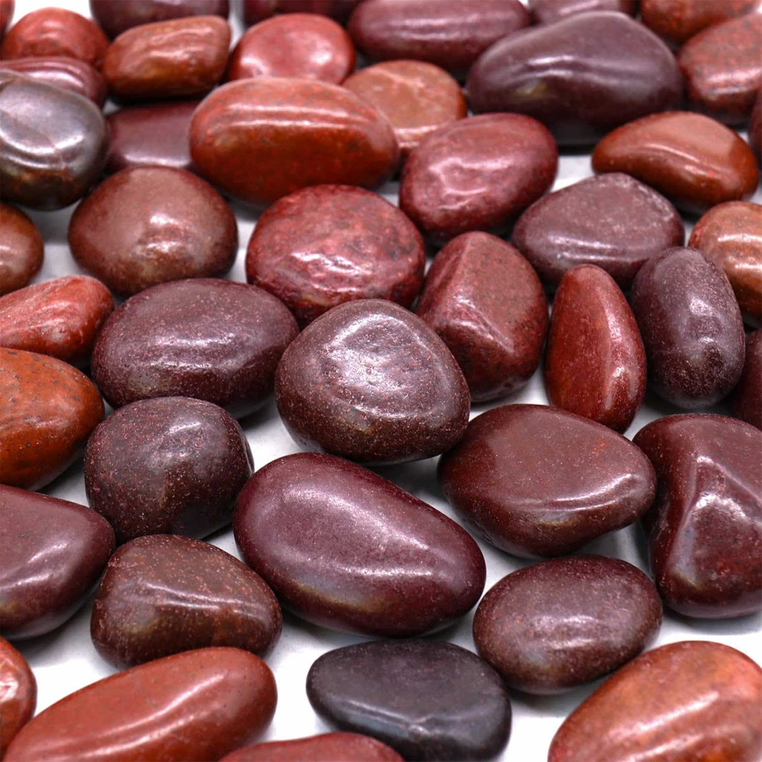 Koltose by Mash Piedras rojas pulidas de 10 libras. Rocas de  a 1 pulgada para plantas, jardín, paisajismo, suculentas, pecera, grava, terrario,