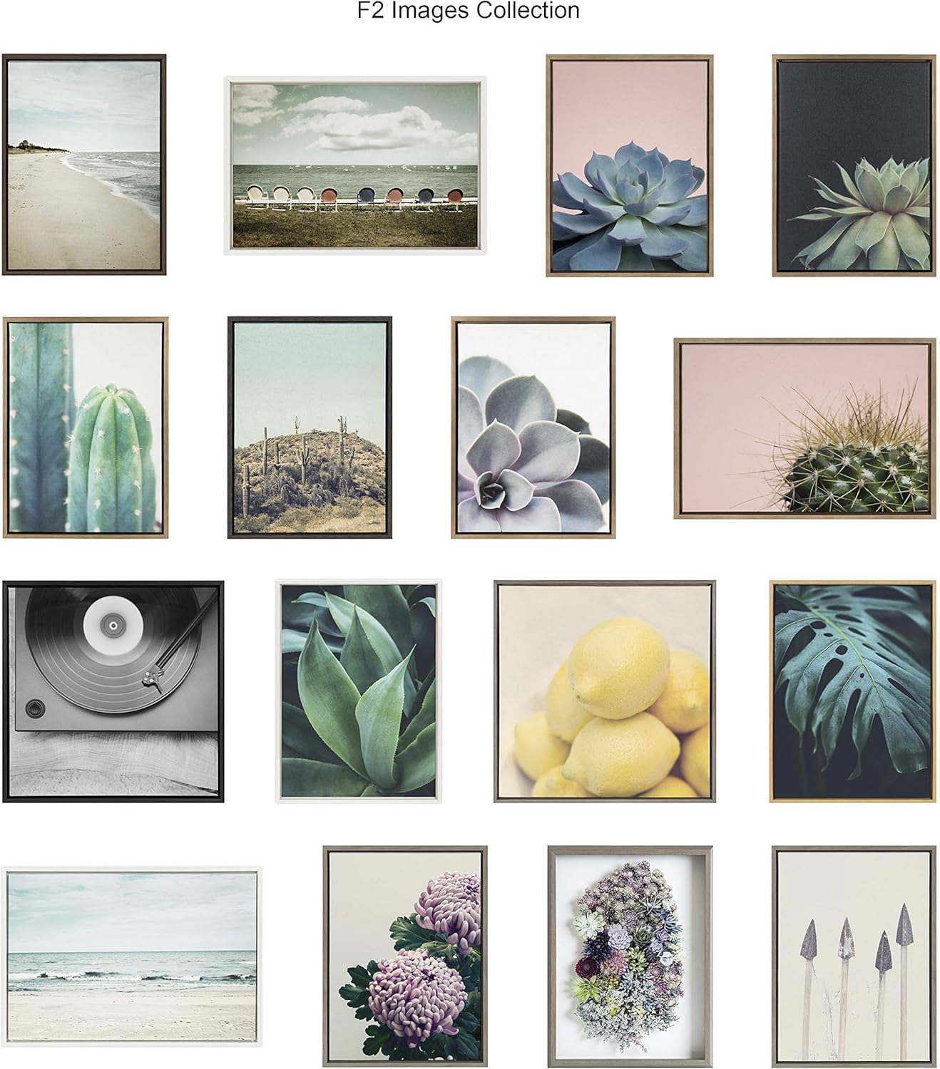 Kate and Laurel Blake Succulent – Arte de pared de vidrio impreso con 5 marcos por Emiko y Mark Franzen de F2Images, 18 x 24 pulgadas, color gris,