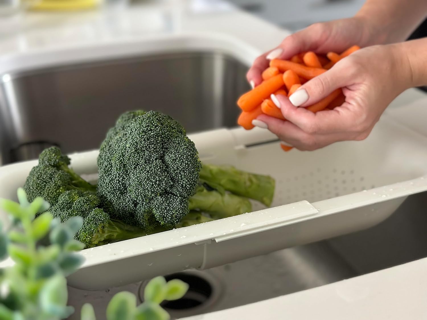 Cesta coladora  Platos secos, lava verduras y frutas y escurre alimentos cocinados  extensible  Esencial para la cocina del hogar (14.4-19.5