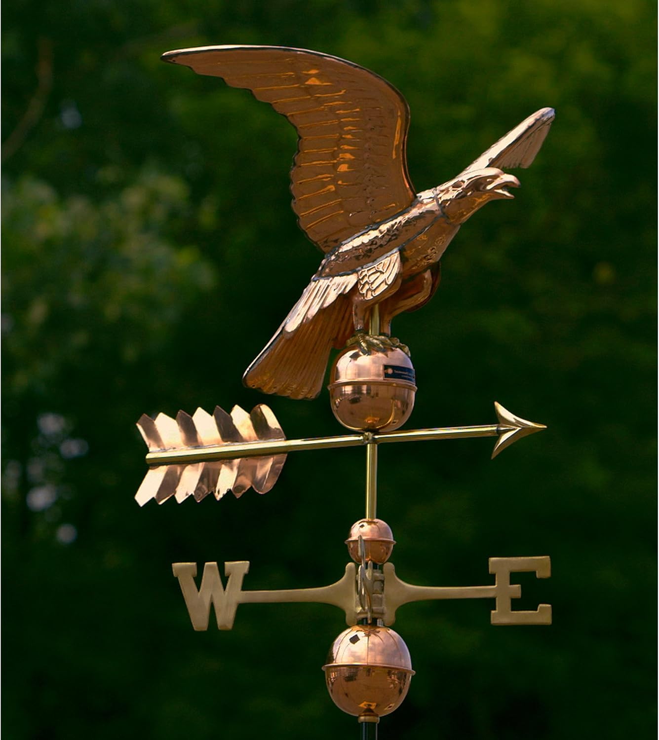 Good Directions 955P Smithsonian Eagle Veleta, cobre puro