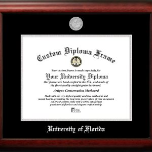 Campus Images NCAA Florida Gators – Marco de diploma unisex plateado en relieve, Universidad de Florida, 16 pulgadas de ancho x 11.5 pulgadas de Campus Images NCAA Florida Gators – Marco de diploma unisex plateado en relieve, Universidad de Florida, 16 pulgadas de ancho x 11.5 pulgadas de